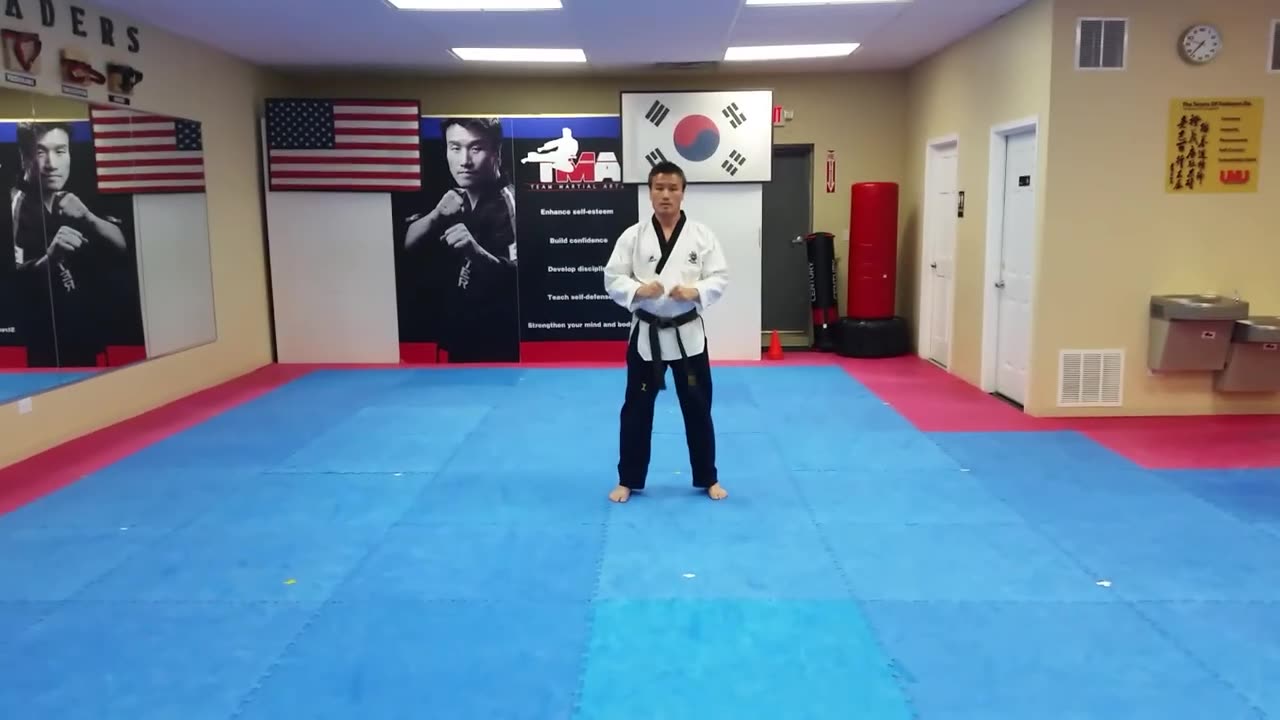 Taekwondo - Taegeuk Sa Jang (Brown Belt) Form