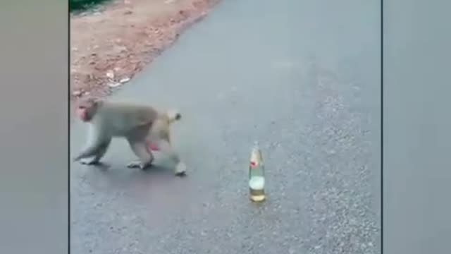 Monkey like❤️ style