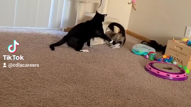 Tye and Minnie