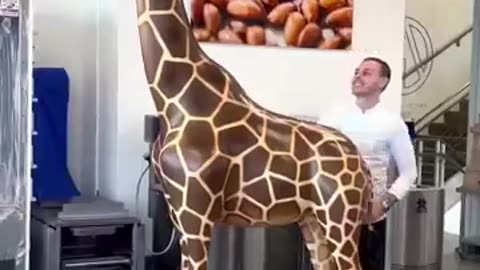 Chocolate Giraffe 🦒🦒 viral2024