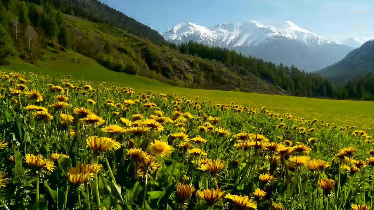 "Switzerland in 60 Seconds: A Scenic Snapshot"