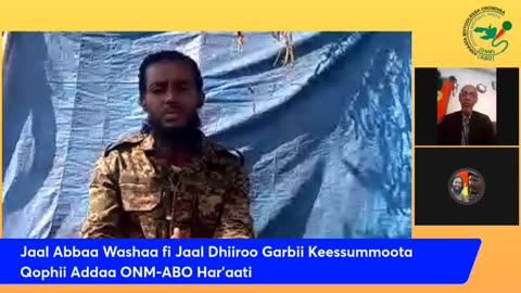 Jaal Abbaa Washaa fi Jaal Dhiiroo Garbii Keessummoota Qophii Addaa ONM-ABO Har'aati