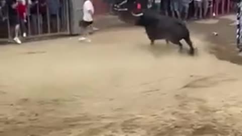 Toro