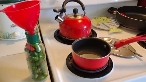 Jalapeno peppers just picked