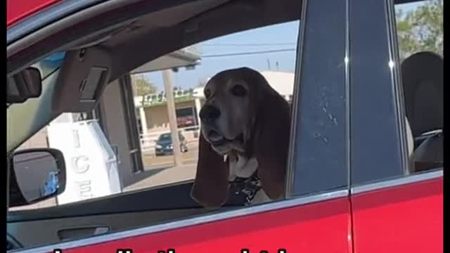 Grandmas uber driver