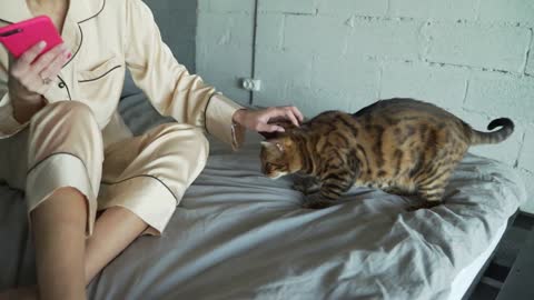 Woman in bed plays with cat