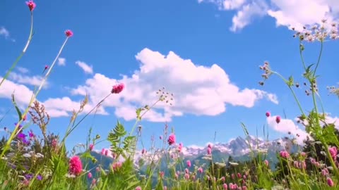 Watch this beautiful view of nature 🥺❤️🌿