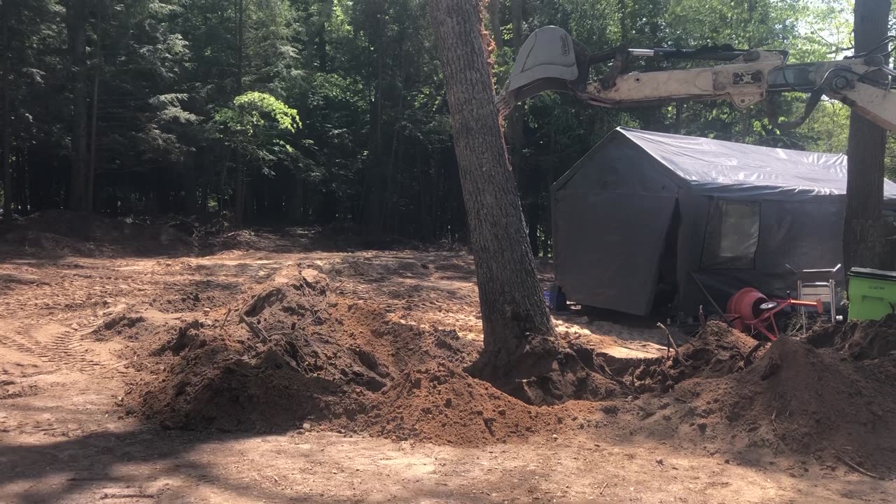 A safe way to take out a big oak and it's stump