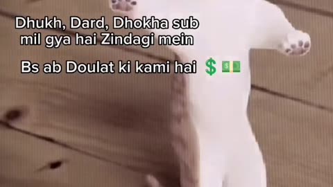 Dukh dard dokha