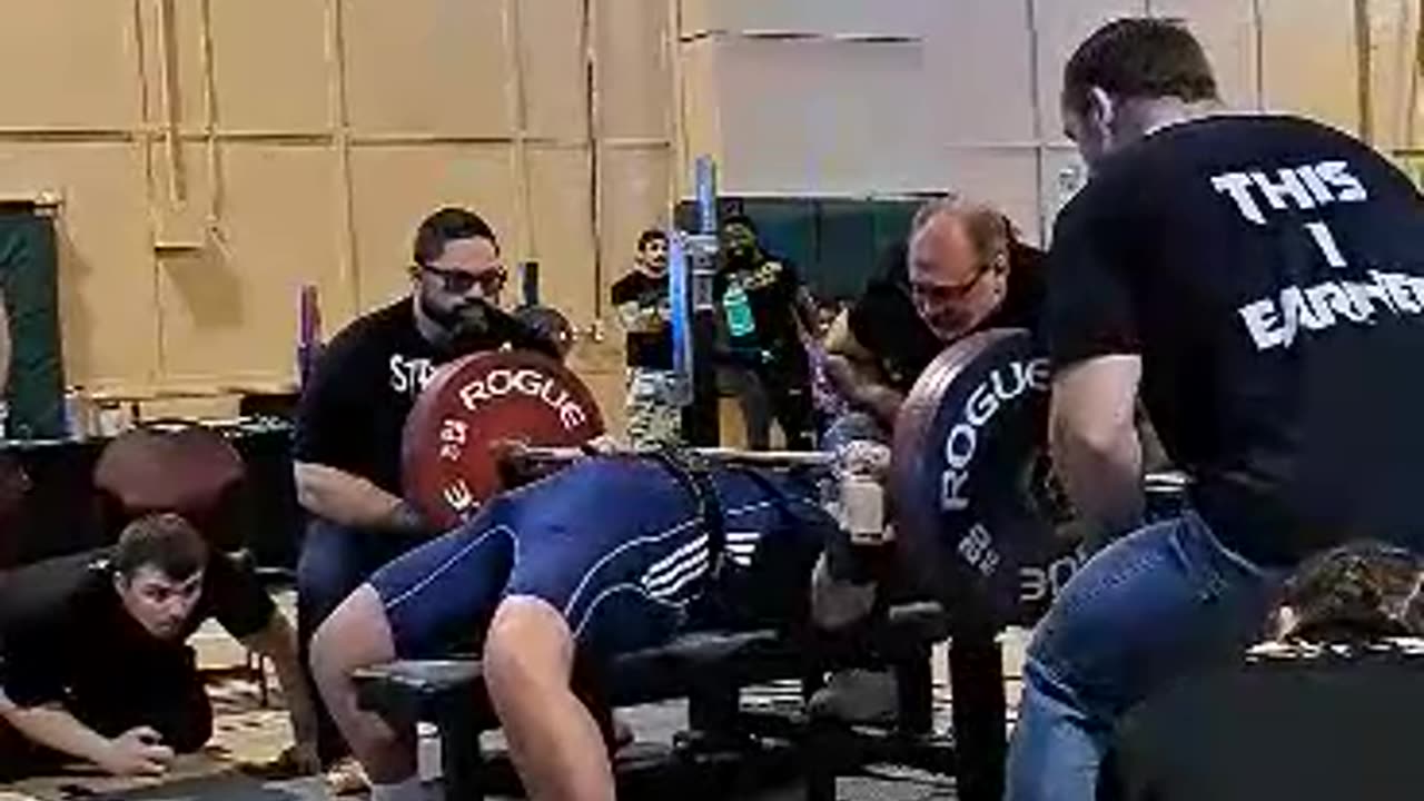 Lisa 363 bench - WR!