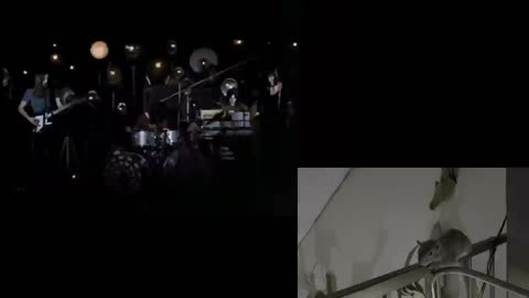 Sami Watch Party - Pink Floyd Live At Pompeii