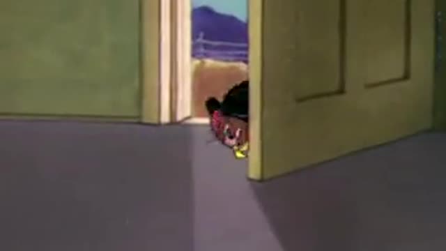 Tom and Jerry Cartoon ✨😂🤣😂🤣✨