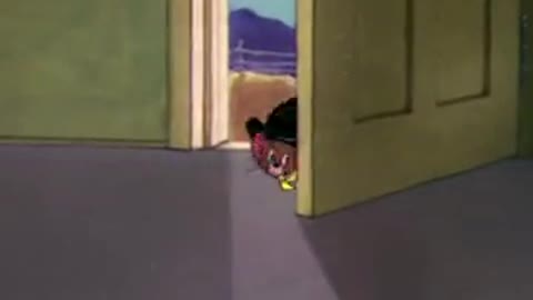 Tom and Jerry Cartoon ✨😂🤣😂🤣✨