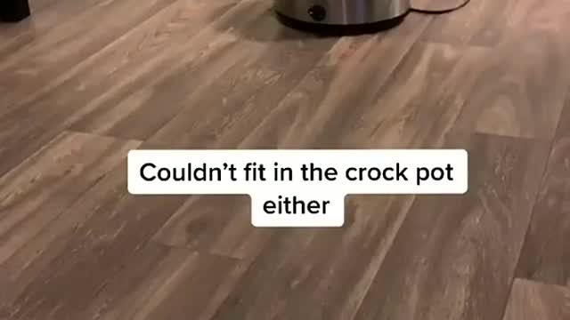 If I fits I sits