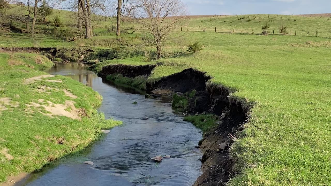 A Creek Flowin’ Through a Pasture