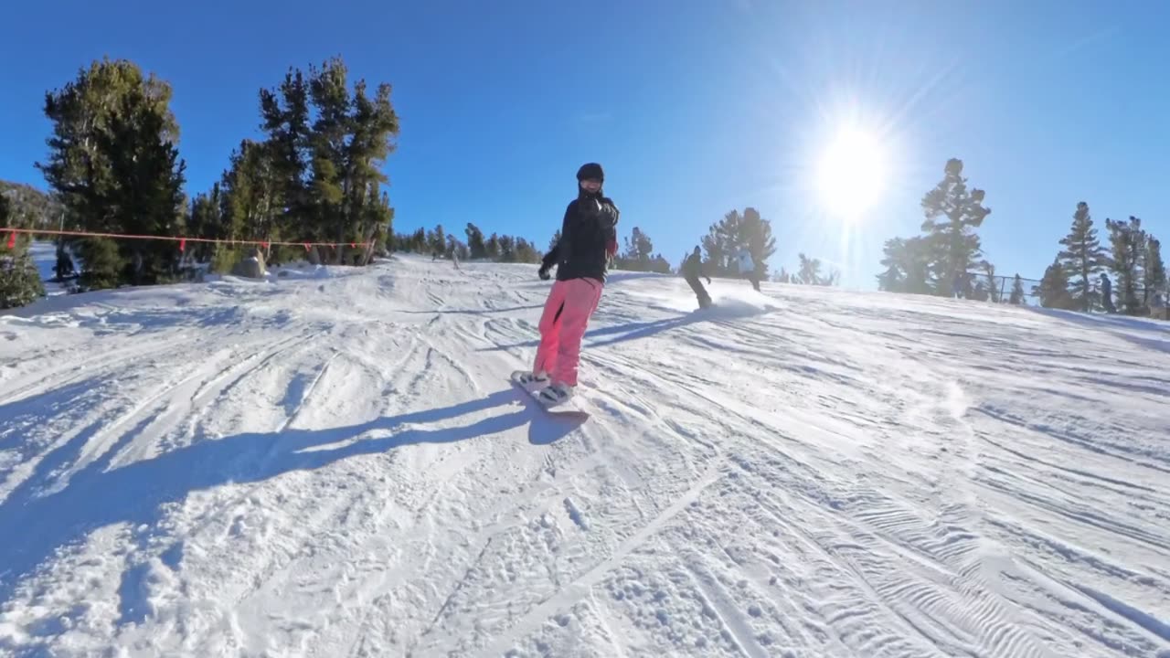 Sprinting Bear Crashes Into Snowboarder