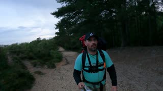 End of a walk at Deers leap New forest