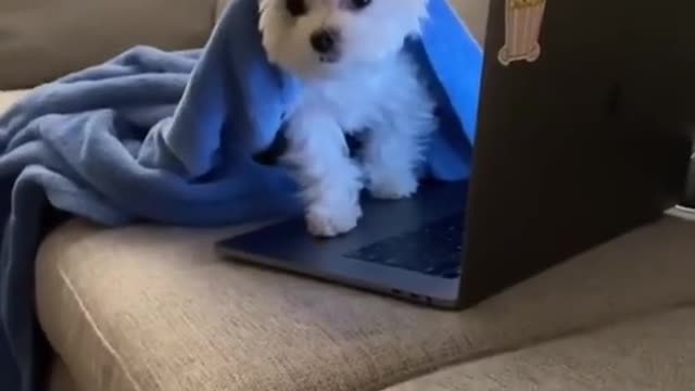 Just out here trying to get some work done