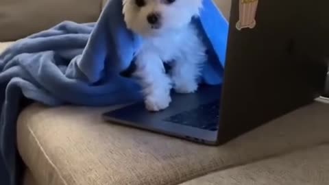 Just out here trying to get some work done
