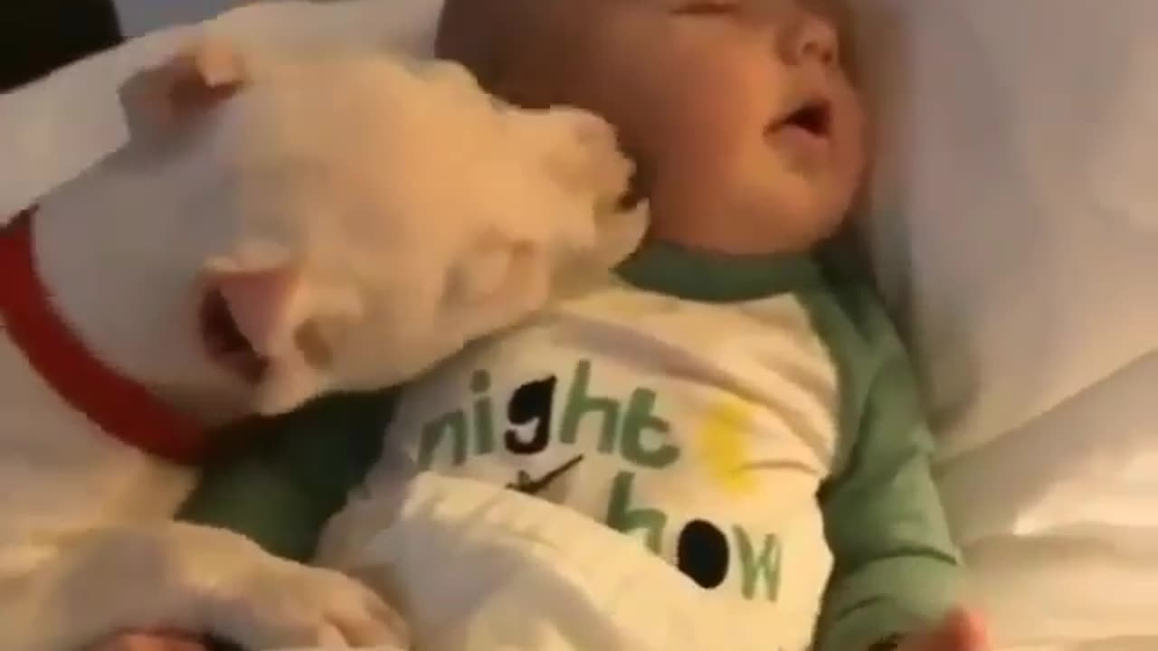 A CUTE DOG EXPRESSING LOVE TO A SLEEPING BABY