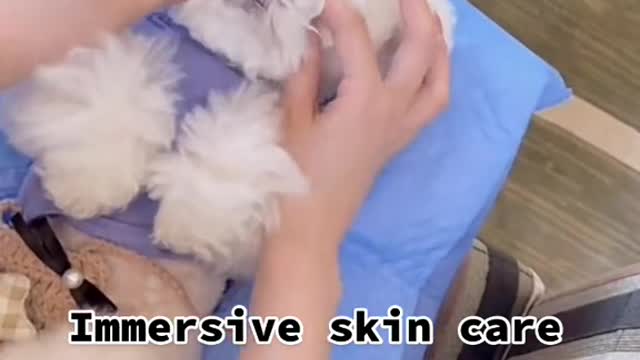 How do you usually take care of your puppy’s skin