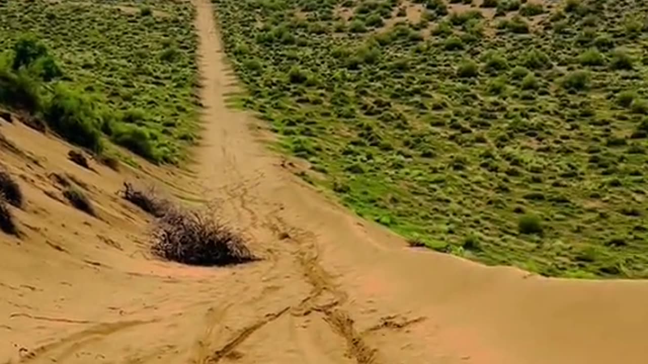 Bike ride in desert