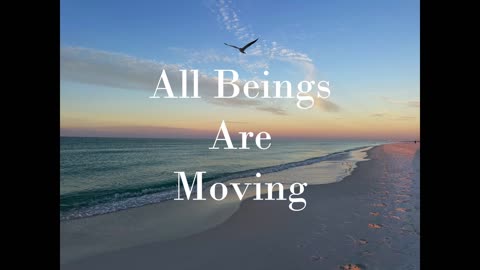 All Beings Are Moving