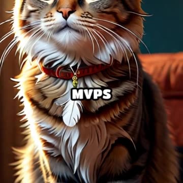 Cat Personality by Fur Color_ What Does Your Cat's Coat Say About Them_ 🐾😺