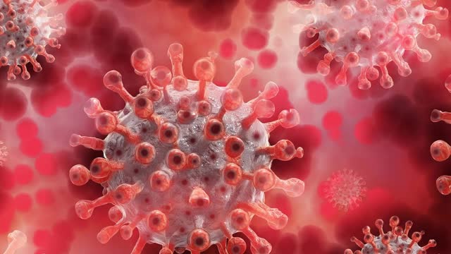 Omicron傳染力 美國超過75%兒童感染