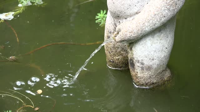 Wonderful view of a statue urinating in the water