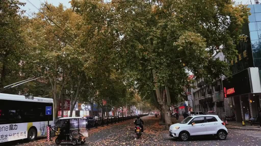 Autumn wind and fallen leaves, like you and me