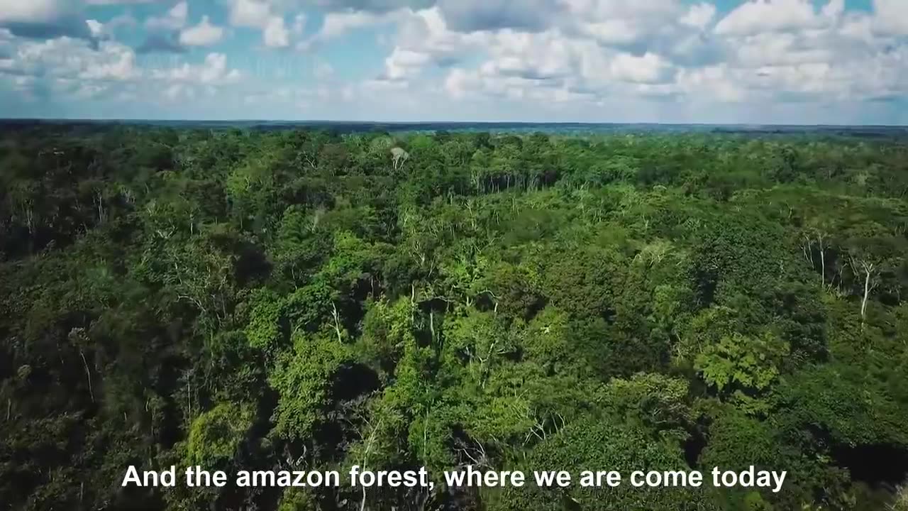 Millions of Amazon Jungle Nuts Harvesting - Amazon Nuts processing in Factory