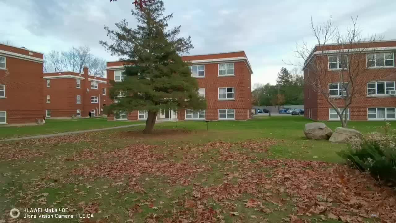 autumn scenery
