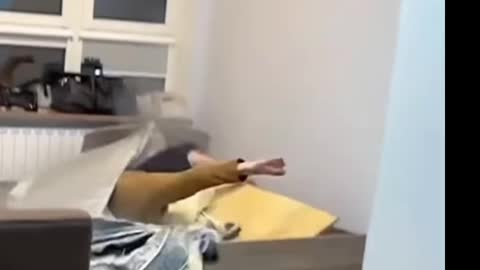 If you laugh You'll Lose