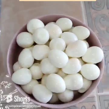 Homestead one bite poppers. #quailfarming #homesteading #familyfarming #quaileggs #kidsnacks