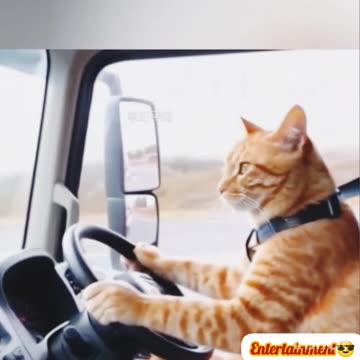 Funny🤣 trending video