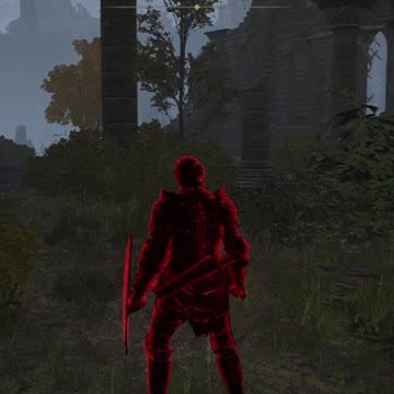 I tried invading for the first time... #shorts #eldenring