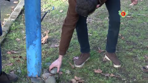 В Абхазии пресечена сбыт наркотического вещества в особо крупном размере