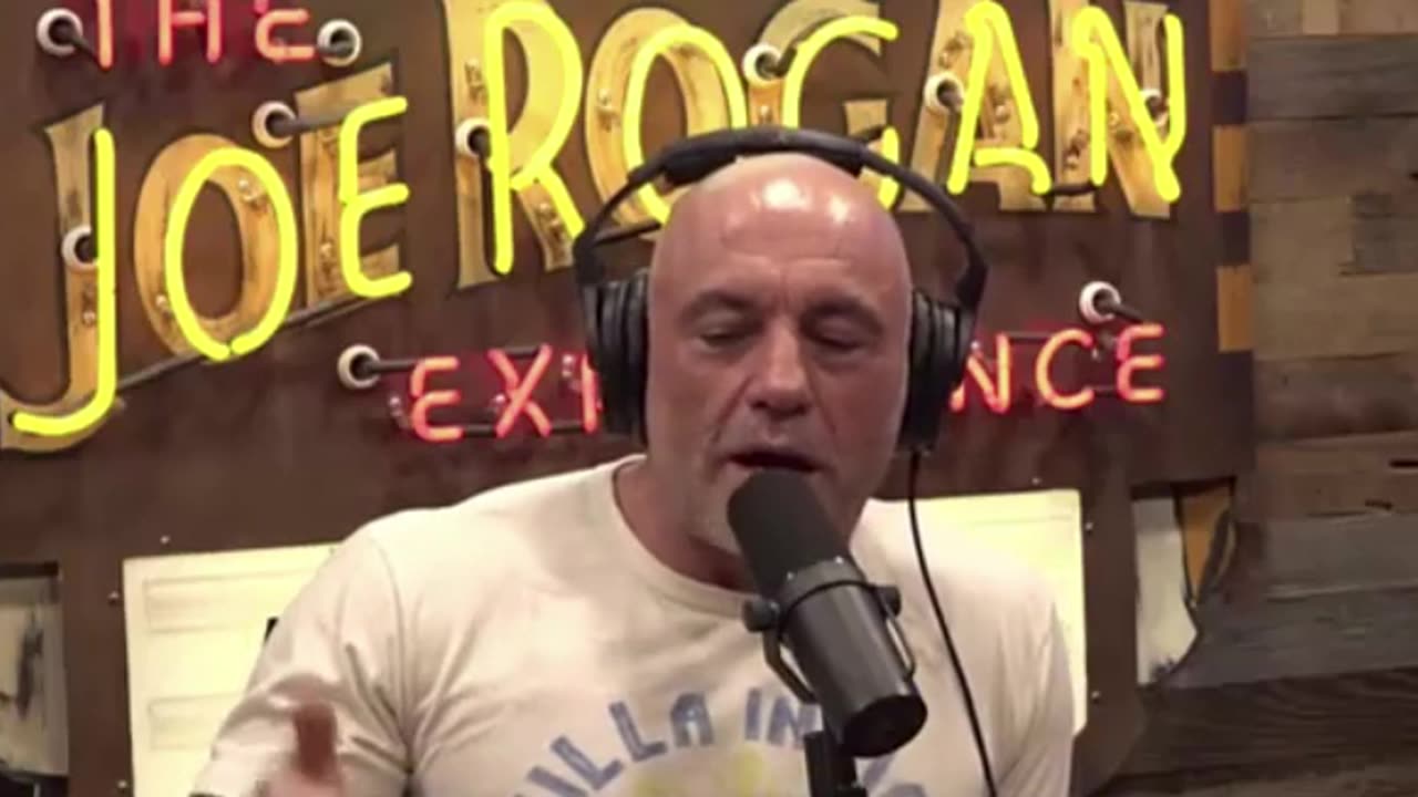 Joe Rogan speaks on Trump