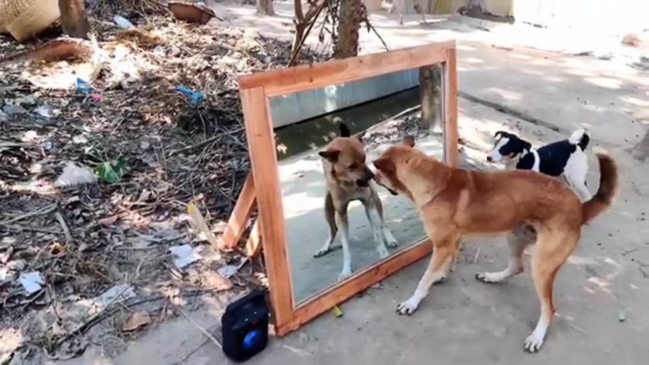 Funny
