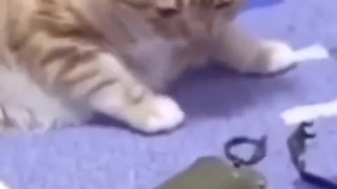 Random Videos Memes Compilation #1