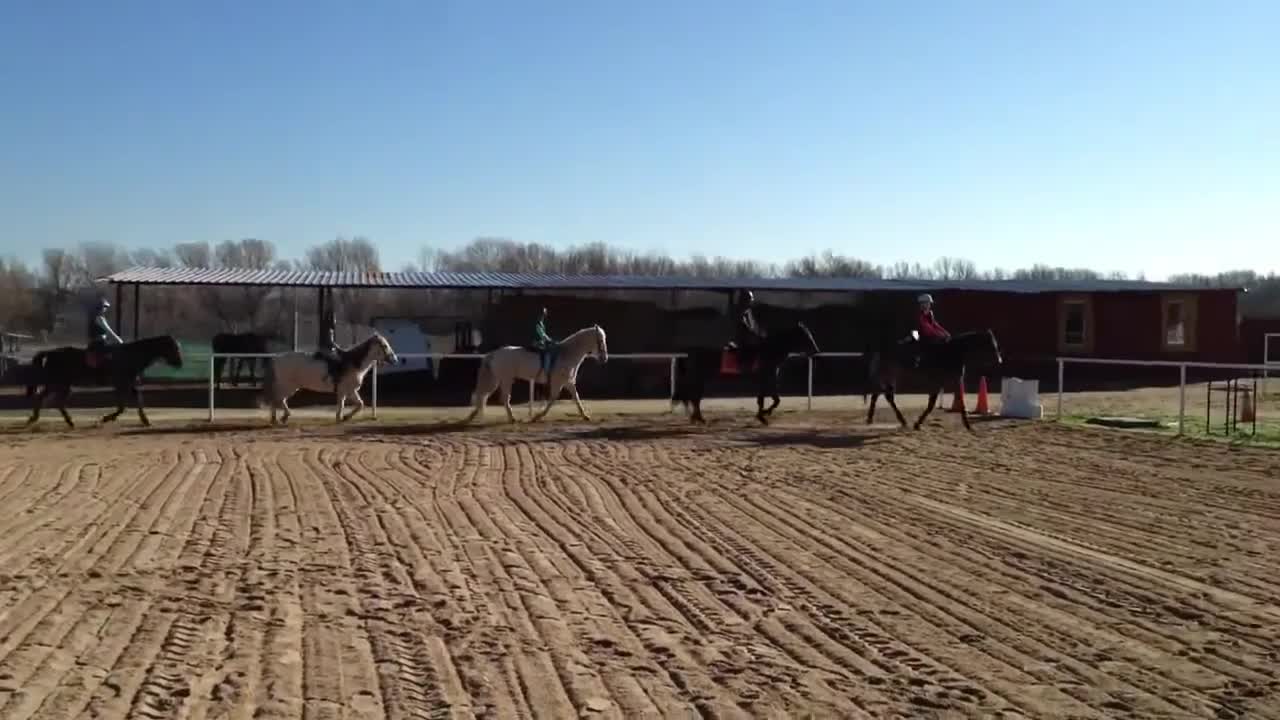 Horse Riding Lessons in Madrid