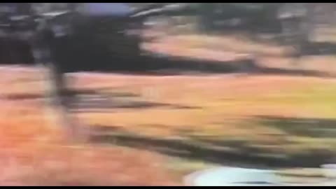 Video 42 - Ranch life for Dukey and Family