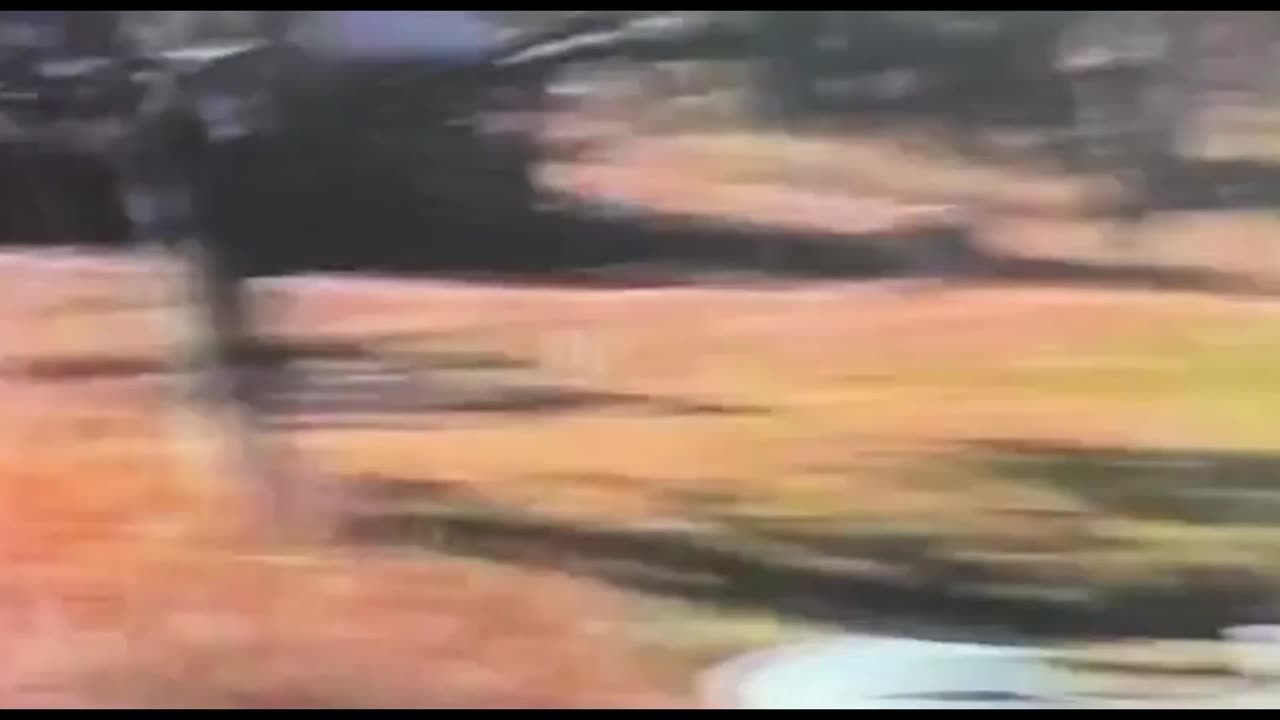 Video 42 - Ranch life for Dukey and Family