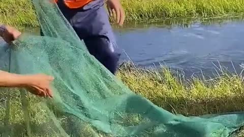 This time it was a friend ringing to try to arrange a fishing trip in Scotland