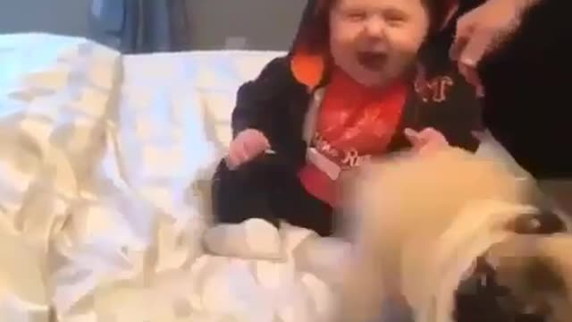 Can tease children's pets