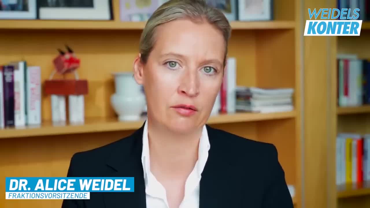 3. Weltkrieg Die Schlafwandler sind zurück! Alice Weidel