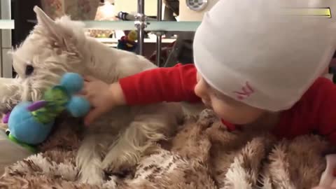 adorable baby and puppy