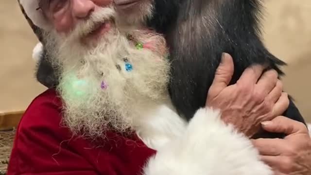 came to visit the full video link in bio 🎄🎁