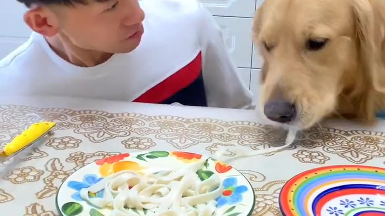 Noodle eating competition with my dog